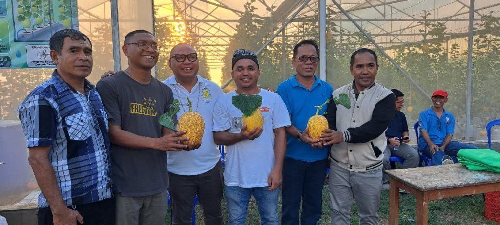 Panen Perdana Melon Merombok Farm Dihadiri Uskup Labuan Bajo Siap Jadi Pusat Edukasi Pertanian Modern Panen Perdana Melon Merombok Farm Dihadiri Uskup Labuan Bajo Siap Jadi Pusat Edukasi Pertanian Modern